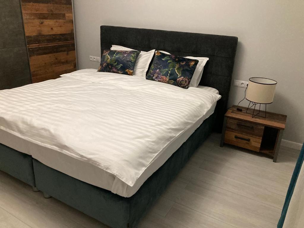 Sibiu Ezonia Central Apartment Eksteriør bilde
